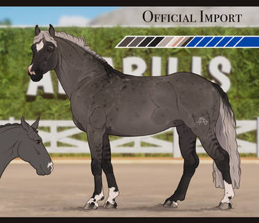 AmabilisWB Import | #632