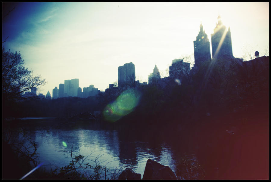 Central Park Sunset