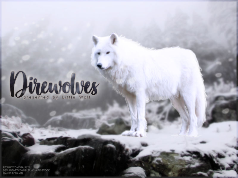 Direwolves