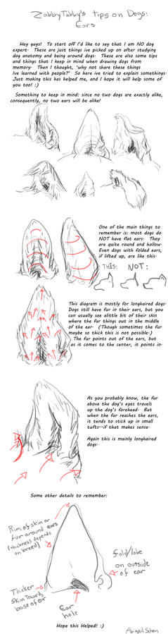 Dog ear notes