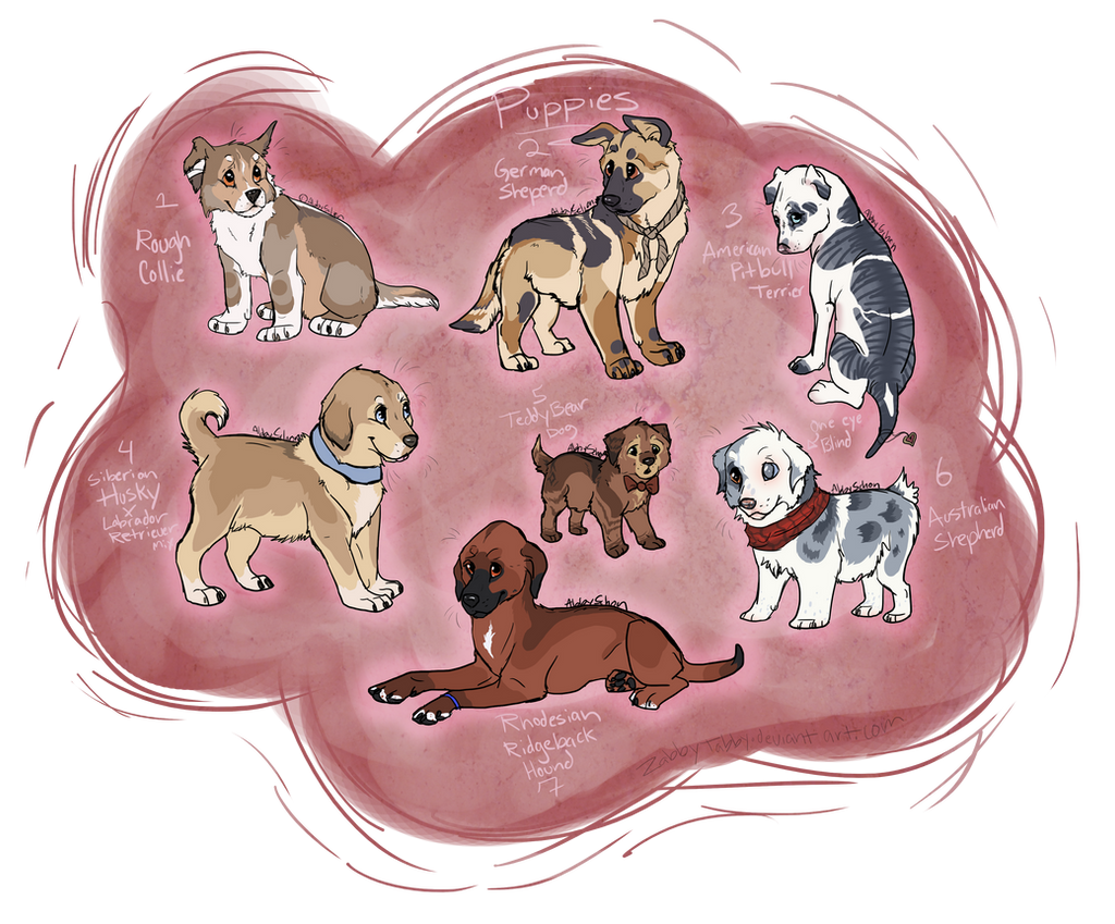 Puppy Adoptables