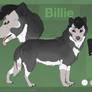 Billie Ref