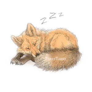 Sleepy Fox