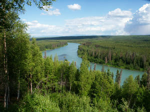Kenai River Edited by whitedragoneyes Kenai River Edited by whitedragoneyes