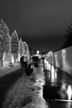 Black and White Christmas