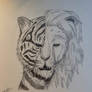 Lion X Tiger...Into the Wild