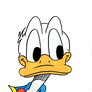 Donald Duck is curious