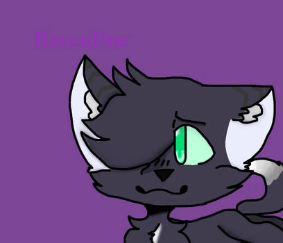 Warriors Cats - Ravenpaw by AnimalLover4Ever on DeviantArt