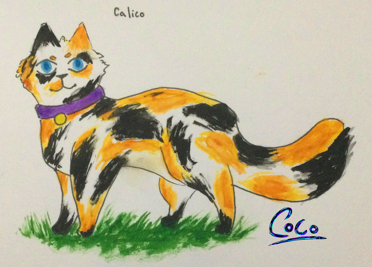 Calico Colorful Tale Watercolor calico cat by C0coArt on DeviantArt
