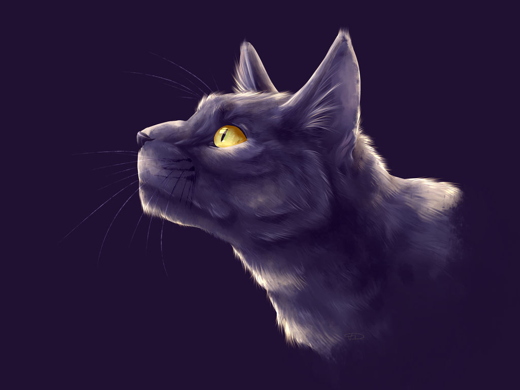 Stormtail Stormtail by variandoodles on DeviantArt