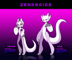 Zendroid Guide | Anatomy