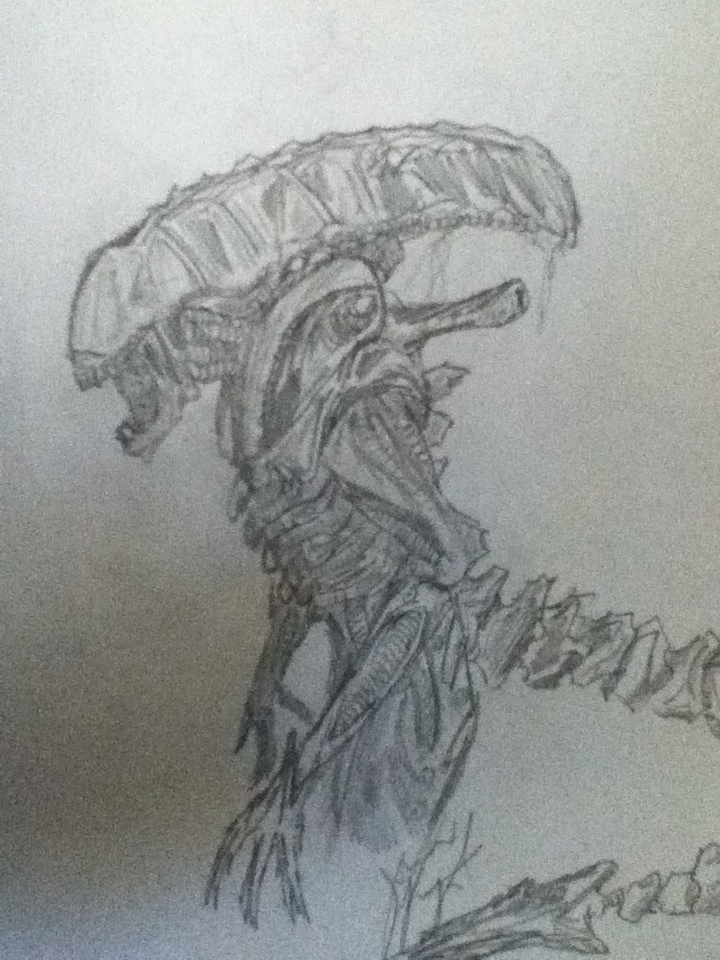 Alien Xenomorph (Warrior)