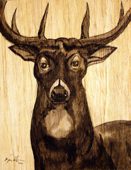 deer 2