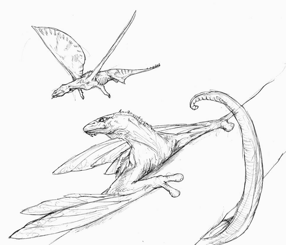 Draw Flying Creature Other flying animals by Gredinia on DeviantArt