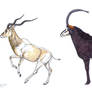 Addax and Sable antelope