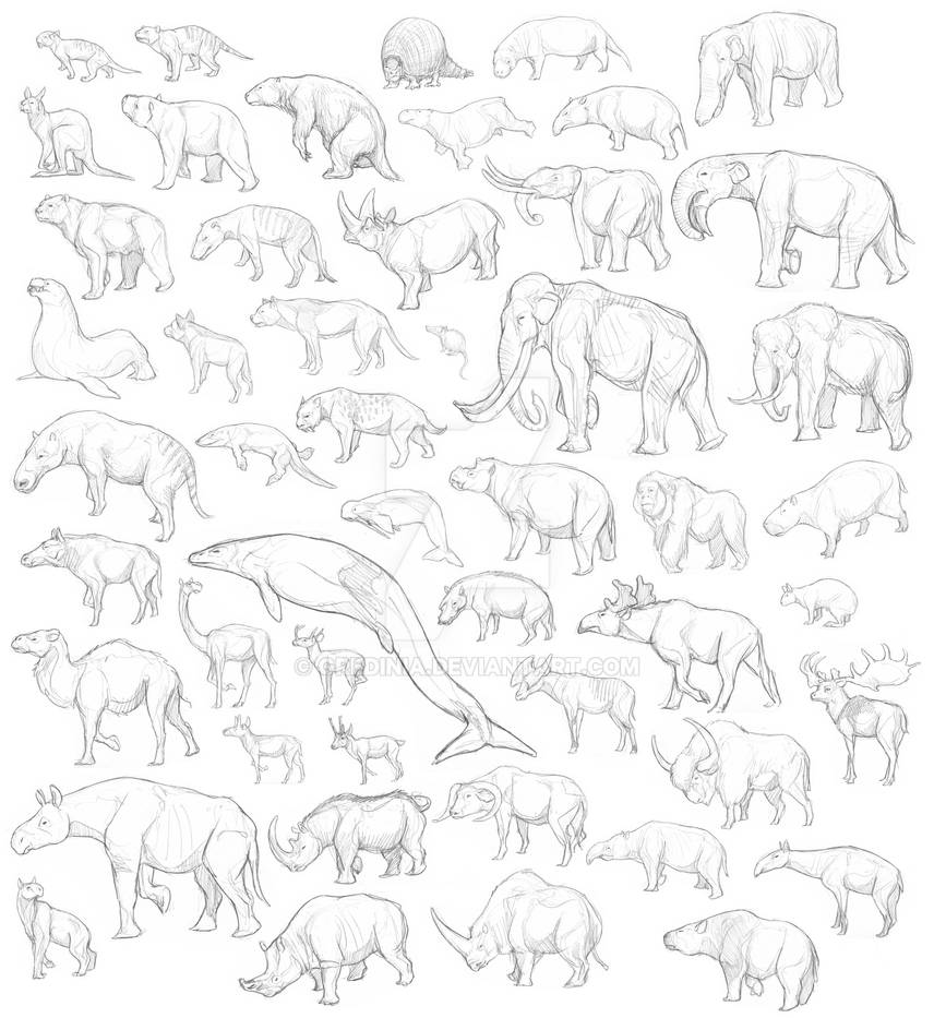50 Prehistoric mammals by Gredinia on DeviantArt
