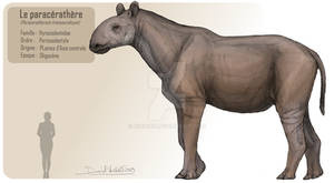 The paraceratherium