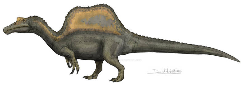 Spinosaurus