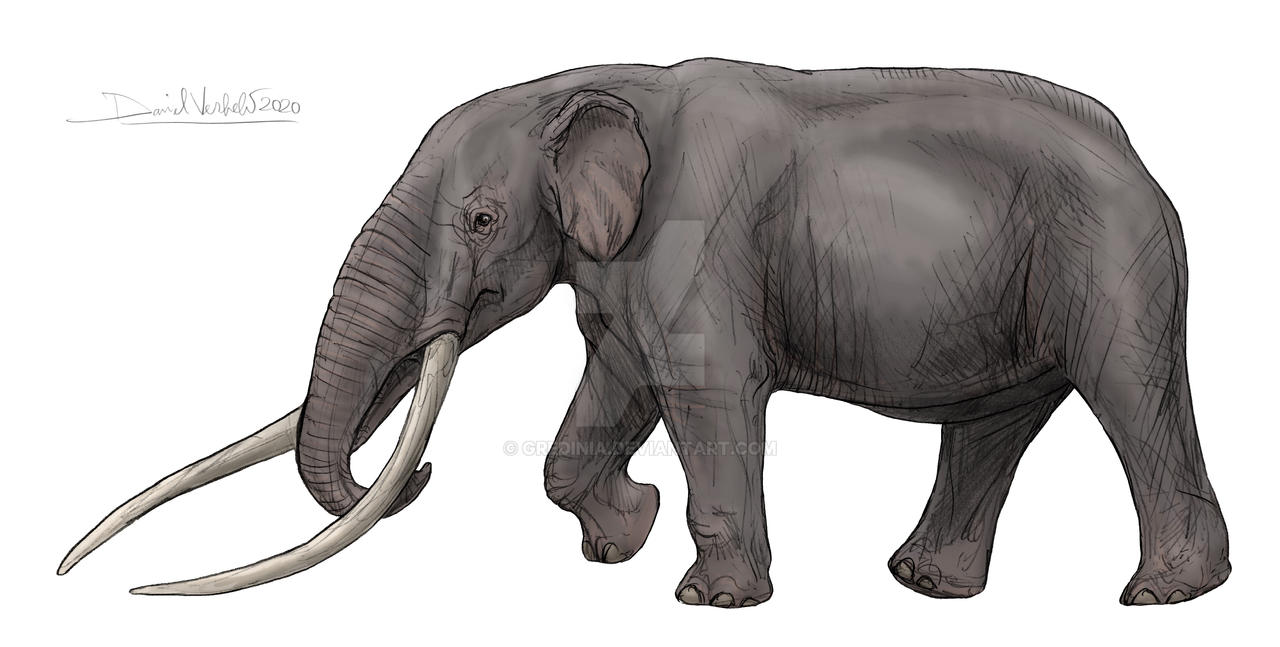 Choerolophodon by Gredinia on DeviantArt