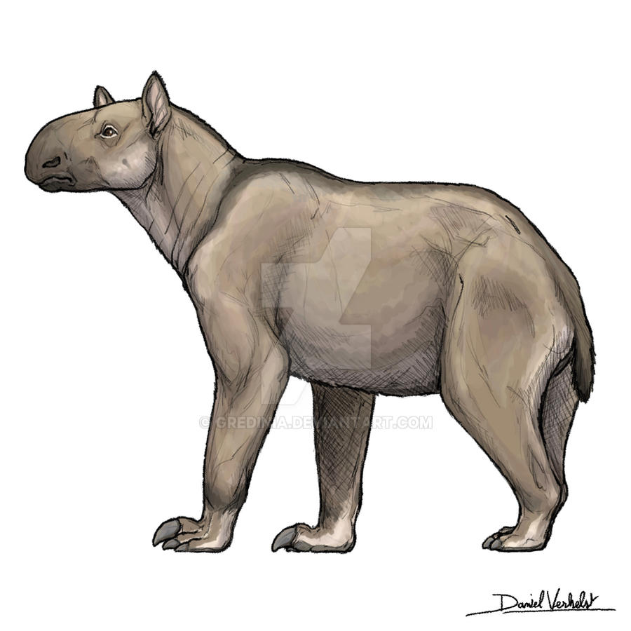 Moropus Moropus by Gredinia on DeviantArt