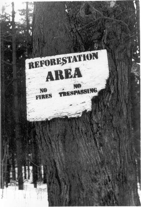 Reforestation Sign by PrincessofPunk89 on DeviantArt