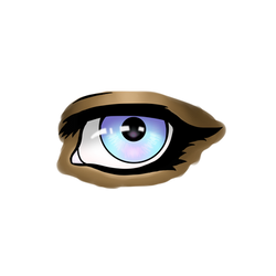 Eye doodle