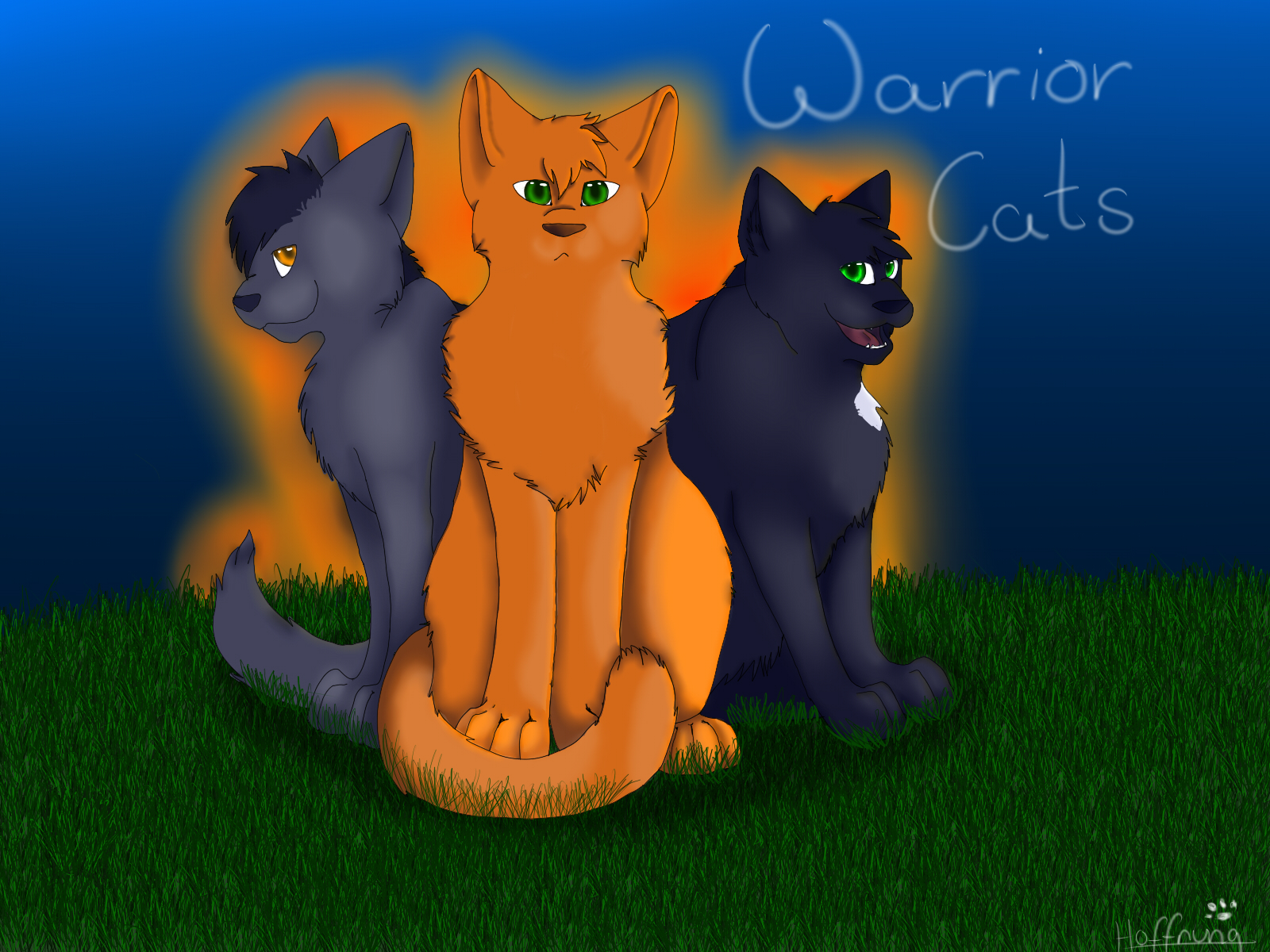 Warrior Cats Wallpaper