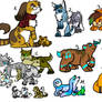 13 Chracteradopts