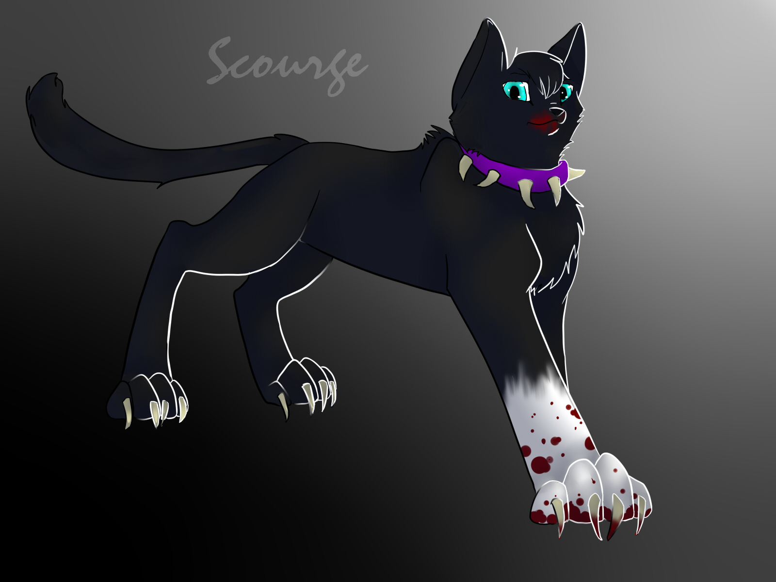 Scourge (Warriors) HD Wallpapers and Backgrounds