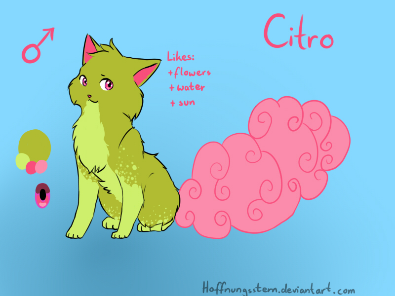 Citro - Ref Sheet