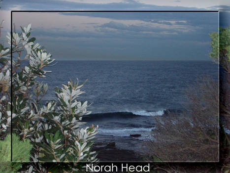 Norah Head