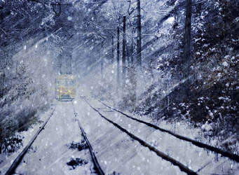 the tram in the winter forest