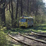 Tram in the spring forest