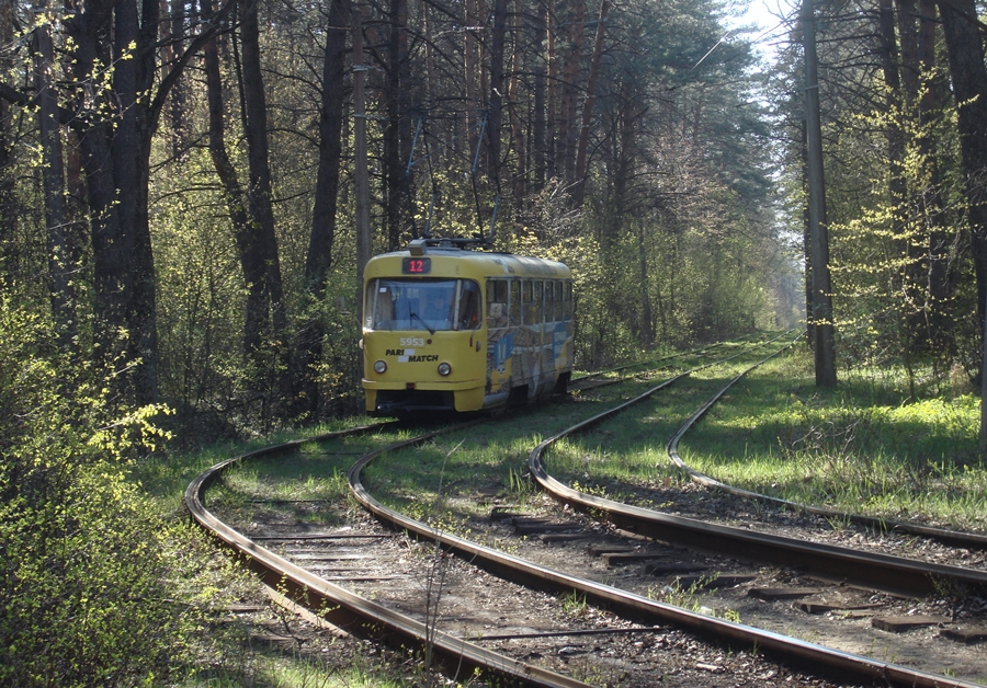 Tram in the spring forest