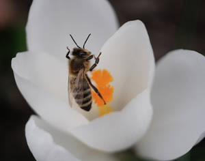 Yay! Spring!