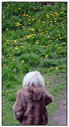 Flowers in Head...