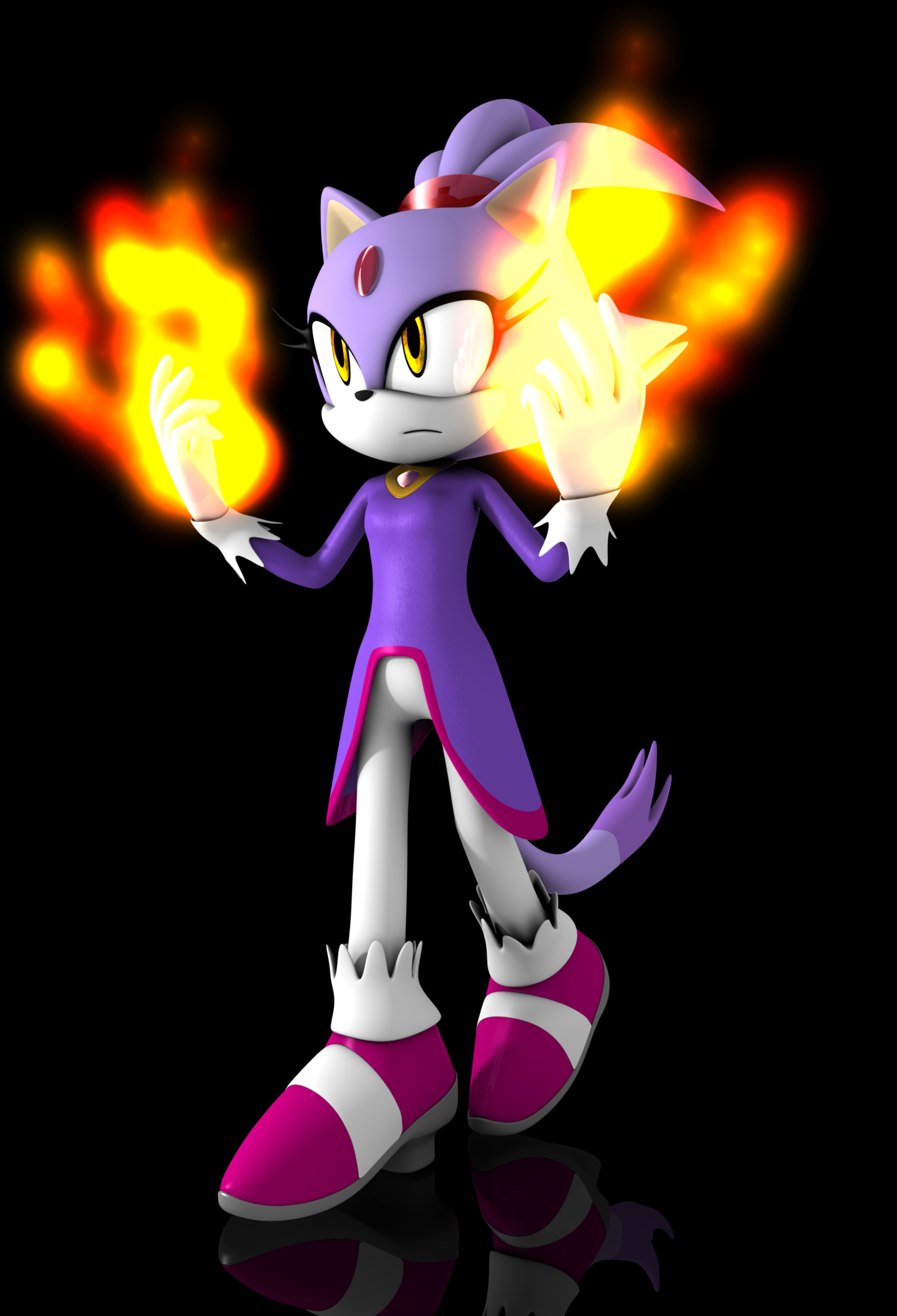 Blaze the cat 2011