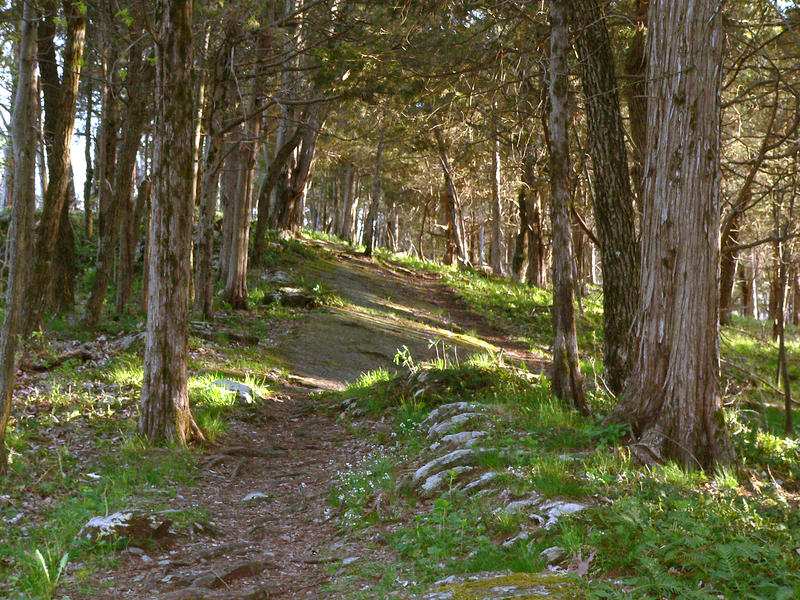 Calming Path by KlinSimp on DeviantArt