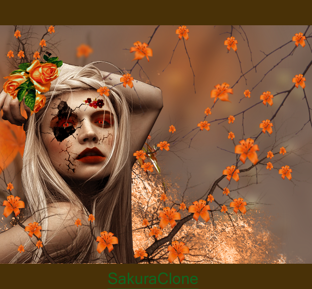 In a land fully of Orange Lillis Human photo Manip