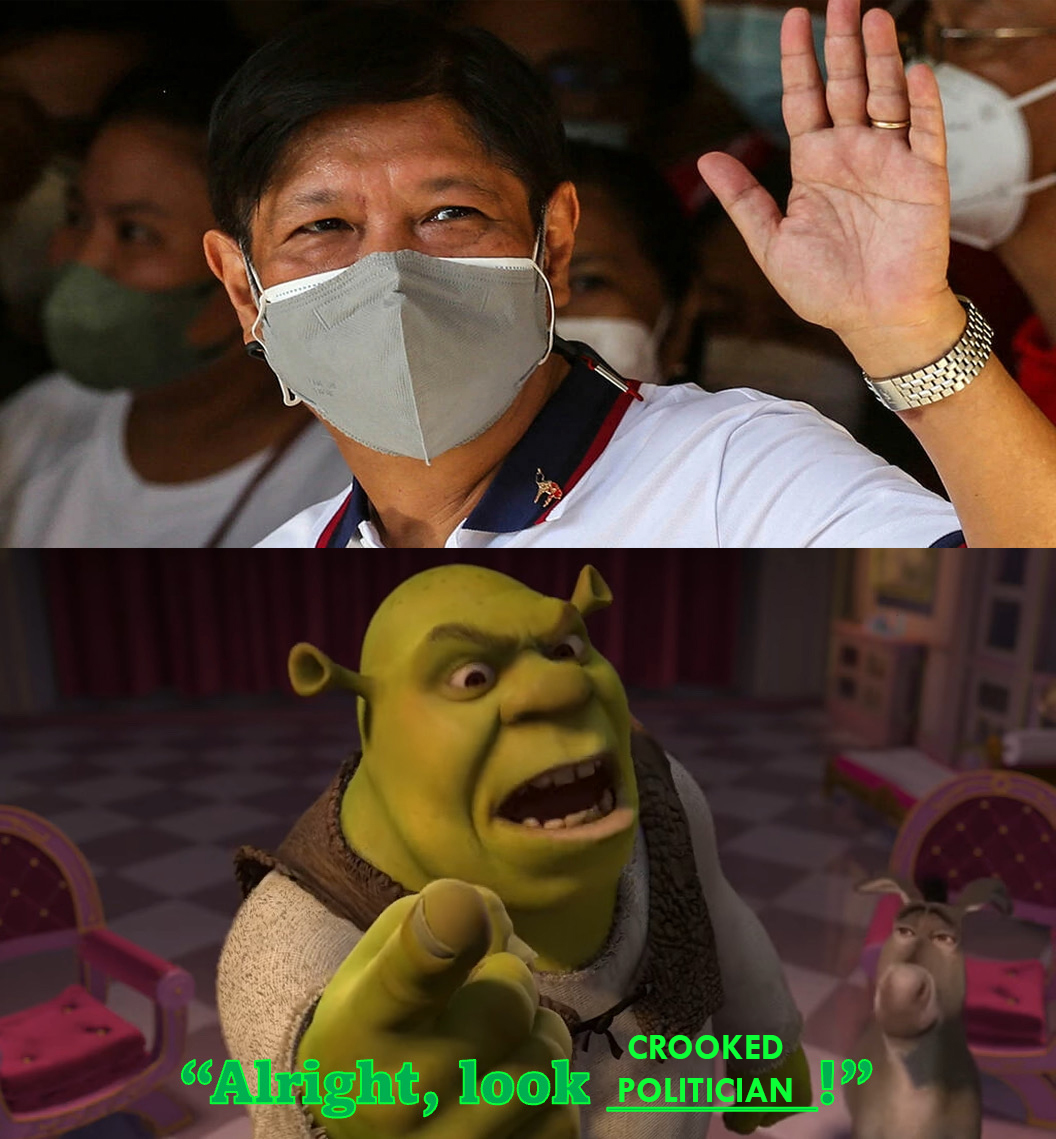 Shrek meme by fernandadelfiol on DeviantArt