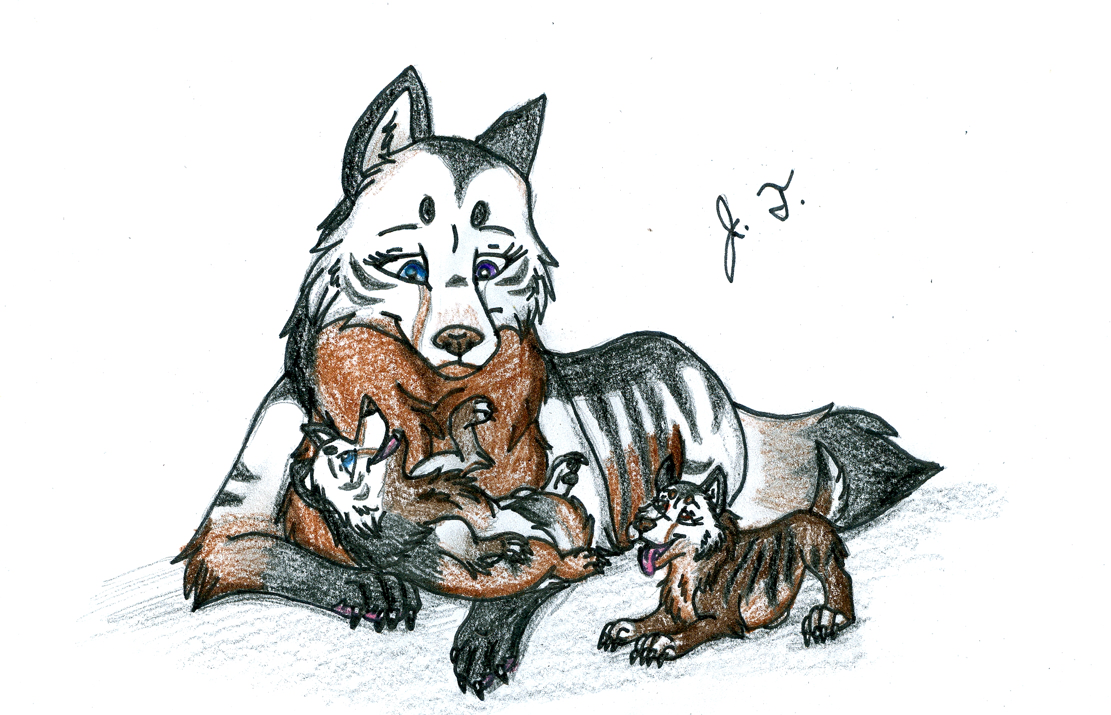 Canine Pictures - Natsume, Silas, And Yvaine