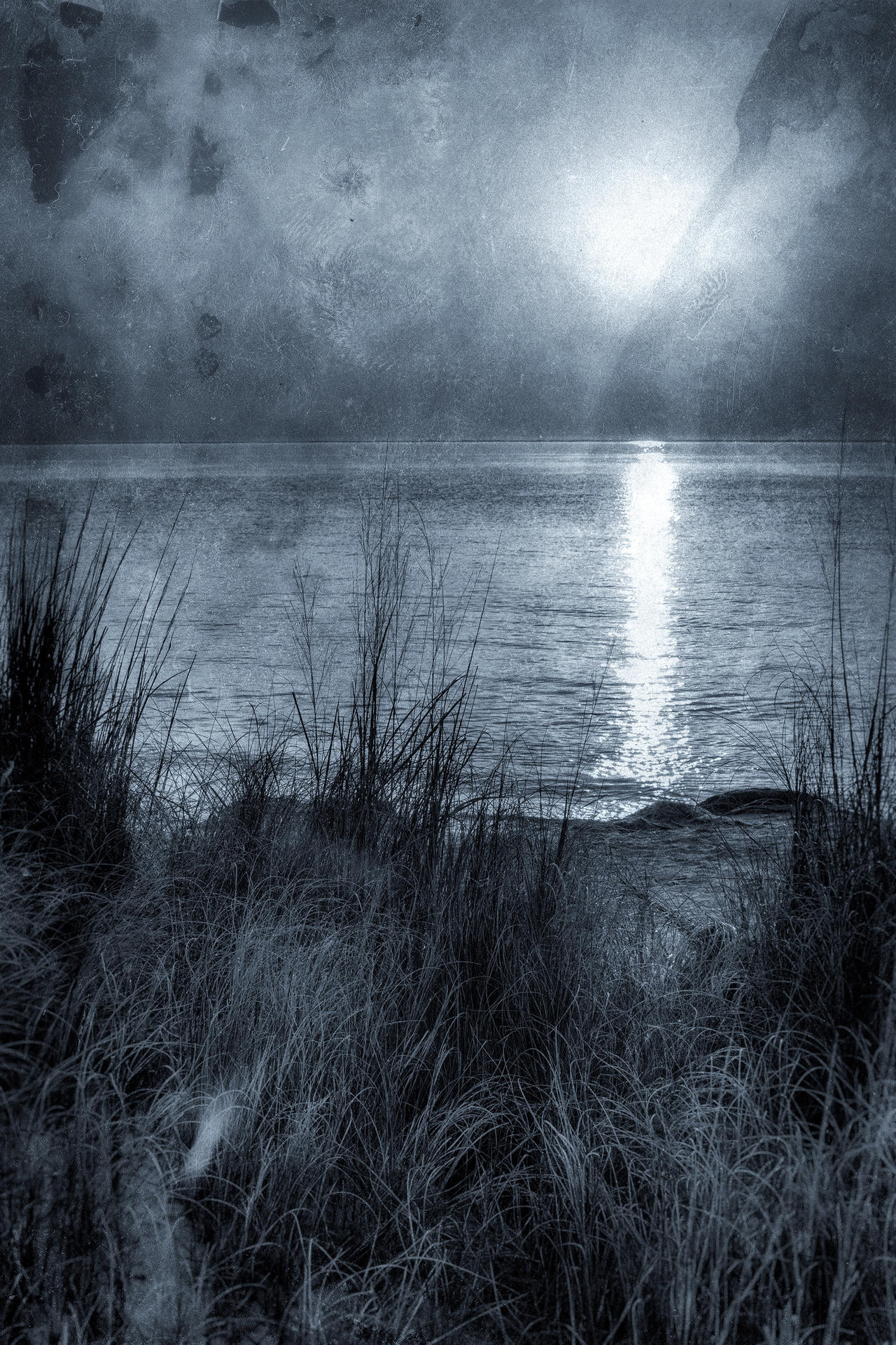 Stranded 2 by acshurte on DeviantArt