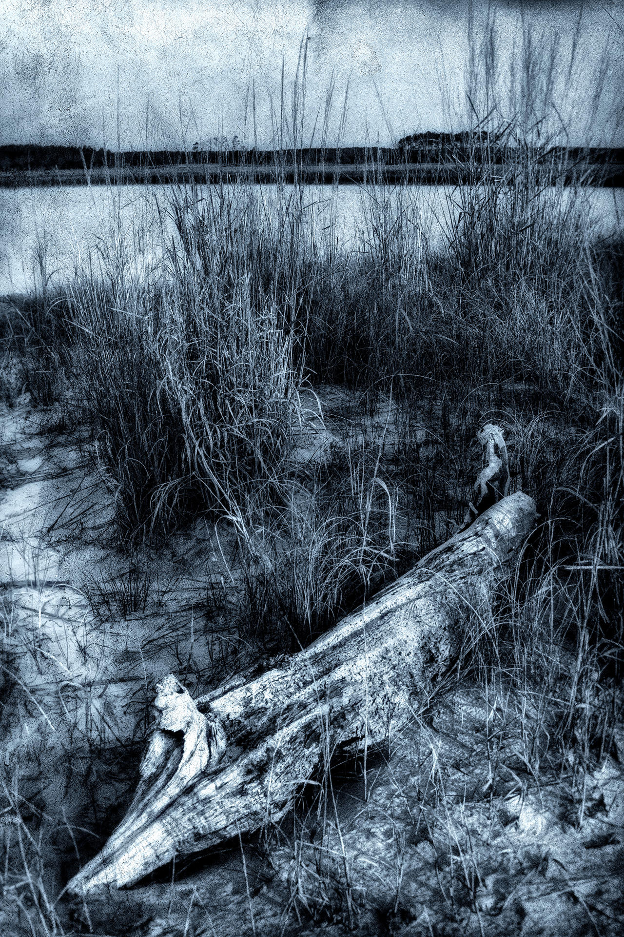 Stranded 3 by acshurte on DeviantArt