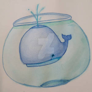 Whale in a bowl