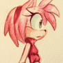 water color boom! Amy Rose