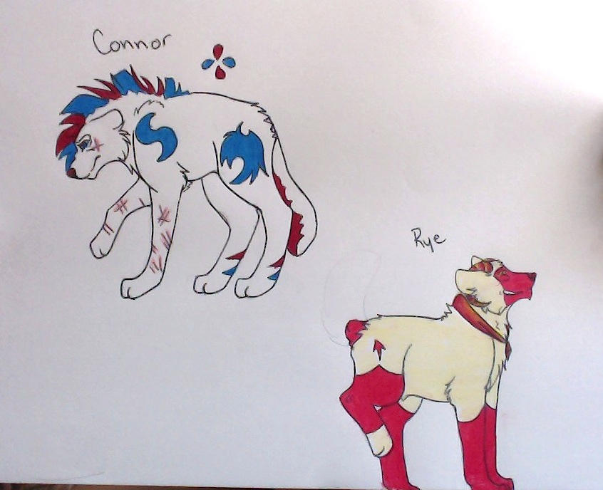 Connor and Rye Reference Sheet 2015 by loiiypop-chan on DeviantArt