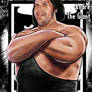 Andre the Giant Unleashed
