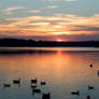 Loch Raven Reservoir