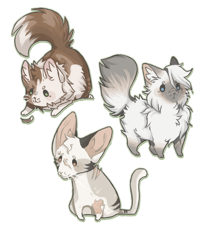 Chibi Name New Names! Chibis by Chief-Tepache on DeviantArt