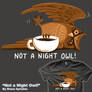 Not A Night Owl